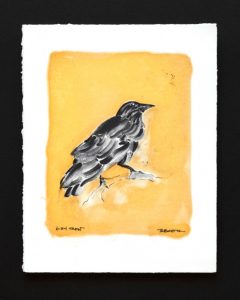 6-24 Crow