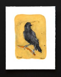 7/7 Crow