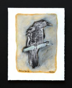 American Crow 7/09