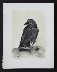 Fifth Crow