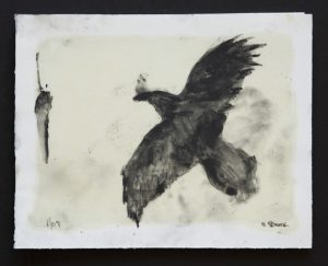 Fly Crow