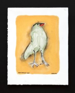 Green American Crow